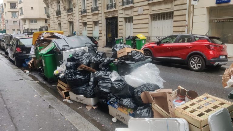 Grève des éboueurs à Paris : les habitants se cotisent !
