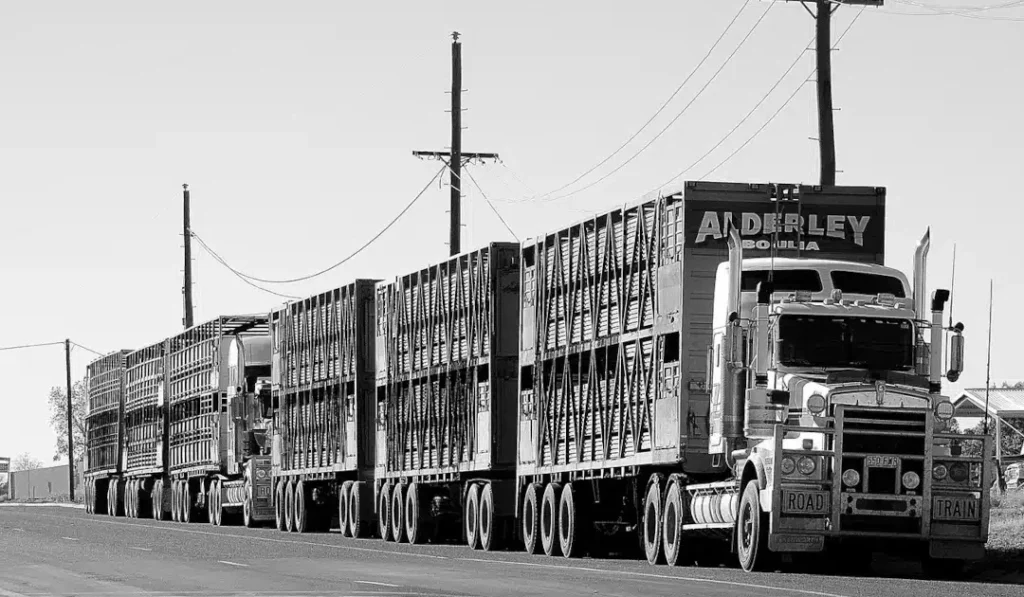 Grille des salaires des transports routiers de marchandises en 2022