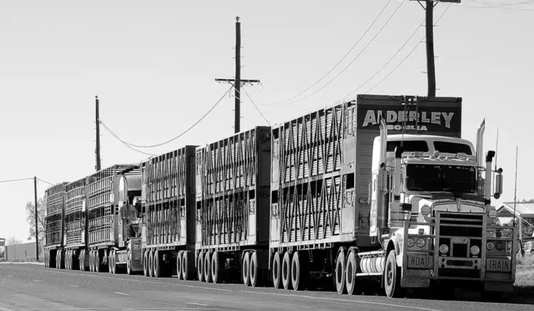 Grille des salaires des transports routiers de marchandises en 2022